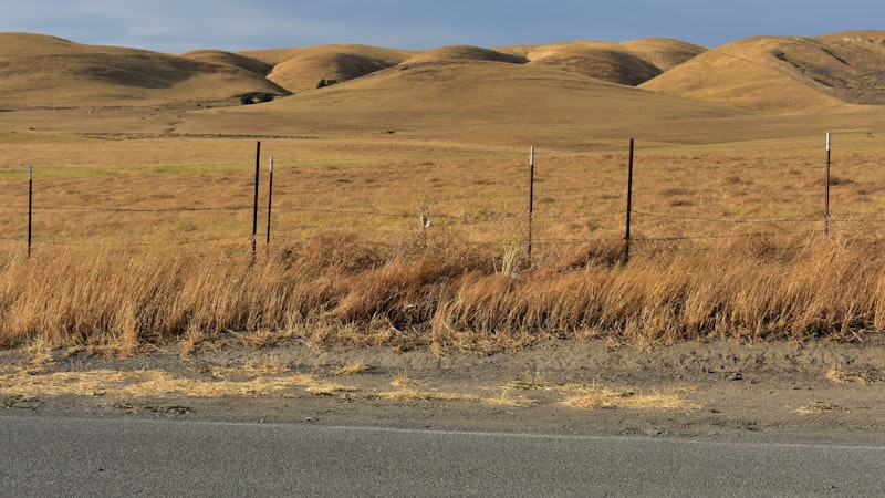 Wire fence running along dry golden hills beside a road