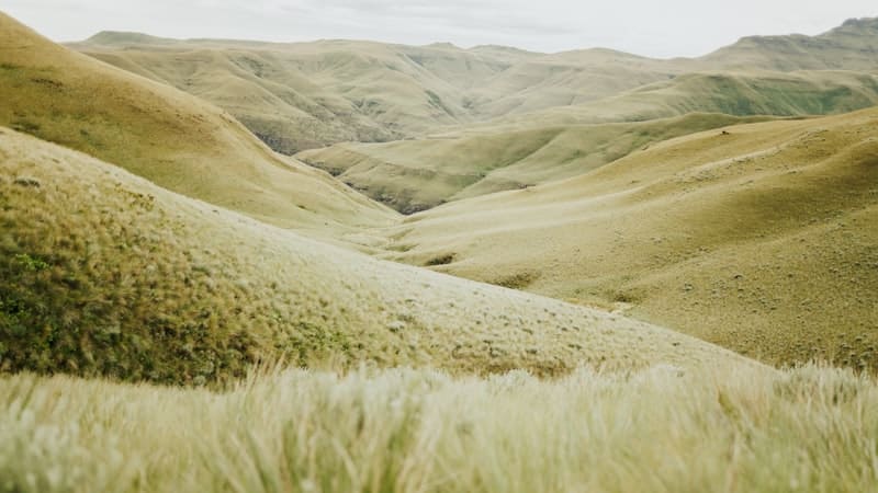 Open grassy valley with rolling hills and no development